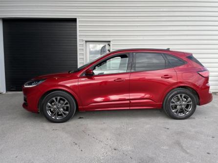 FORD Kuga 2.5 Duratec 190ch FHEV E85 ST-Line X BVA à vendre à Reims - Image n°8