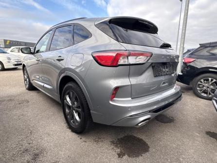 FORD Kuga 2.0 EcoBlue 120 ch ST-Line X BVA à vendre à Troyes - Image n°7