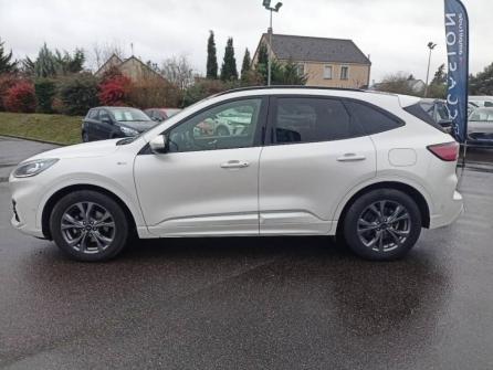 FORD Kuga 2.0 EcoBlue 150ch mHEV ST-Line X à vendre à Orléans - Image n°8